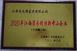 2020年江西省专精特新中小企业
